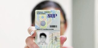 Cédula Profesional en línea cómo realizar el trámite y evitar filas