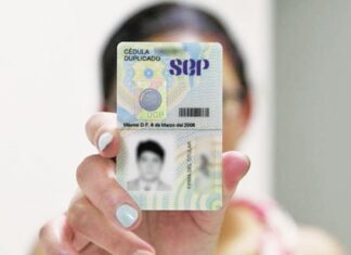 Cédula Profesional en línea cómo realizar el trámite y evitar filas