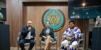 “El Murmullo de los Océanos”, una exposición de la vida marina que genera conciencia ambiental llega a Punto México