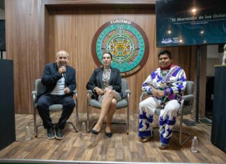 “El Murmullo de los Océanos”, una exposición de la vida marina que genera conciencia ambiental llega a Punto México