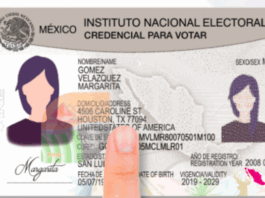 ¿Credencial del INE dejará de ser identificación oficial? Credencial del INE dejará de ser identificación oficial