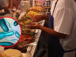 ¡Detectan bacterias fecales en salsas de puestos callejeros en CDMX! Detectan bacterias fecales en salsas de puestos callejeros en CDMX