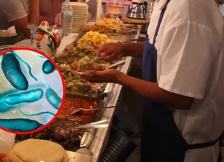 ¡Detectan bacterias fecales en salsas de puestos callejeros en CDMX! Detectan bacterias fecales en salsas de puestos callejeros en CDMX