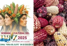Feria del Elote 2025 en CDMX: ¿Cuándo es y Qué Habrá? Feria del Elote 2025 en CDMX Cuándo es y Qué Habrá