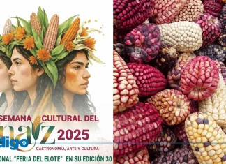 Feria del Elote 2025 en CDMX: ¿Cuándo es y Qué Habrá? Feria del Elote 2025 en CDMX Cuándo es y Qué Habrá