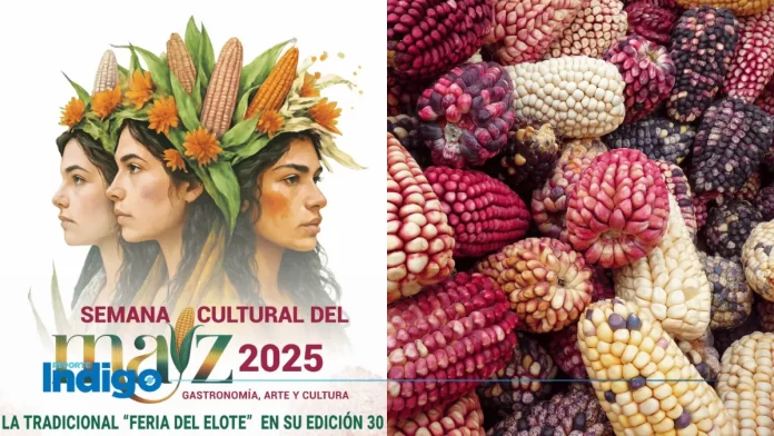 Feria del Elote 2025 en CDMX Cuándo es y Qué Habrá