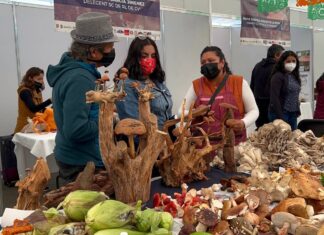 Feria del Hongo 2025 en CDMX Feria del Hongo 2025 en CDMX