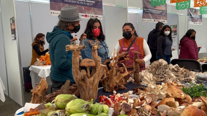 Feria del Hongo 2025 en CDMX