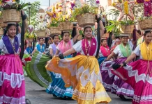 Guelaguetza llega a Tlalpan: 4 días de música, danza y tradiciones oaxaqueñas Guelaguetza llega a Tlalpan 4 días de música danza