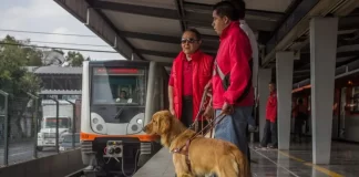 Niegan entrada de perra guía al Metro CDMX y se desata debate Niegan entrada de perra guía al Metro CDMX y se desata debate
