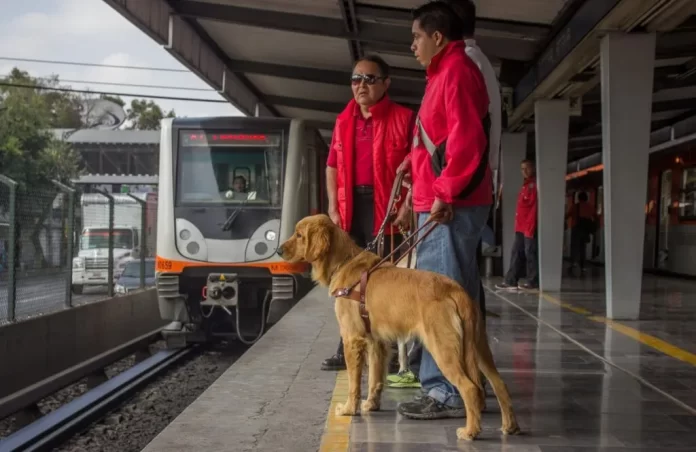 Niegan entrada de perra guía al Metro CDMX y se desata debate