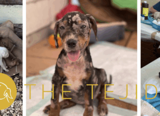 Kilómetros con Corazón 2025: Un Triatlón con Intención