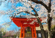 Natsu Matsuri 2025 en CDMX: festival japonés gratuito de Tanabata con cultura, música y comida
