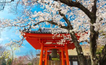 Natsu Matsuri 2025 en CDMX: festival japonés gratuito de Tanabata con cultura, música y comida