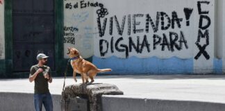 CDMX implementa plan integral de 14 acciones para frenar la gentrificación gentrificacion cdmx