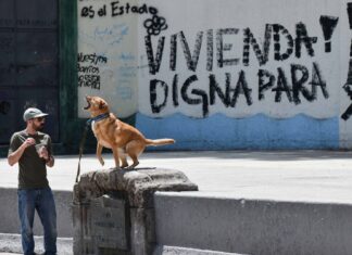 CDMX implementa plan integral de 14 acciones para frenar la gentrificación gentrificacion cdmx