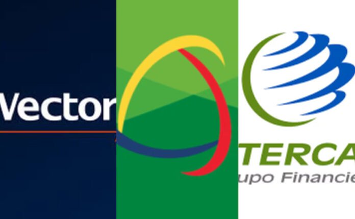 vector ci banco e intercam