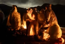 World Press Photo 2025 llega al Museo Franz Mayer con un llamado visual a la reflexión 071_North and Central America_Singles_John Moore
