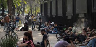 Asignan nuevos puntos para consumo de cannabis en la CDMX Asignan nuevos puntos para consumo de cannabis en la CDMX