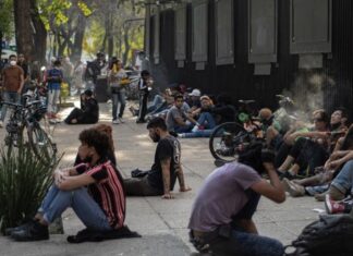 Asignan nuevos puntos para consumo de cannabis en la CDMX Asignan nuevos puntos para consumo de cannabis en la CDMX