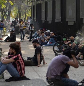 Asignan nuevos puntos para consumo de cannabis en la CDMX Asignan nuevos puntos para consumo de cannabis en la CDMX
