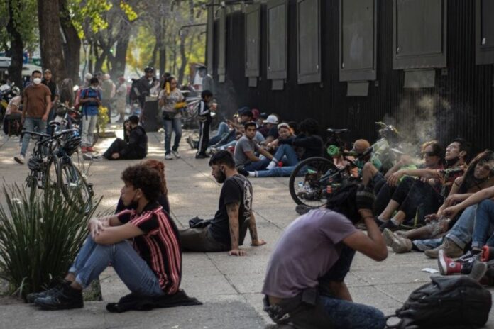 Asignan nuevos puntos para consumo de cannabis en la CDMX