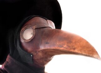 Detectan caso de peste bubónica en California Detectan caso de peste bubónica en California