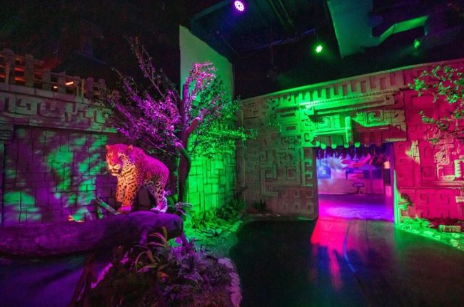 Odisea México la nueva experiencia inmersiva de la CDMX