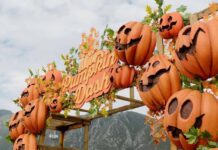 Pumpkin Zone 2025 el festival de Halloween gratuito llega a Puebla Pumpkin Zone 2025 el festival de Halloween gratuito llega a Puebla