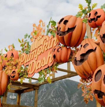 Pumpkin Zone 2025 el festival de Halloween gratuito llega a Puebla Pumpkin Zone 2025 el festival de Halloween gratuito llega a Puebla
