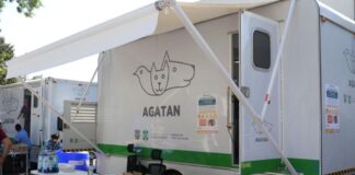 Realizarán jornada gratuita de esterilización en CDMX Realizarán jornada gratuita de esterilización en CDMX