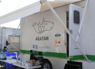 Realizarán jornada gratuita de esterilización en CDMX Realizarán jornada gratuita de esterilización en CDMX