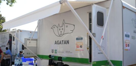 Realizarán jornada gratuita de esterilización en CDMX Realizarán jornada gratuita de esterilización en CDMX