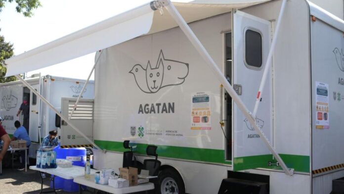 Realizarán jornada gratuita de esterilización en CDMX
