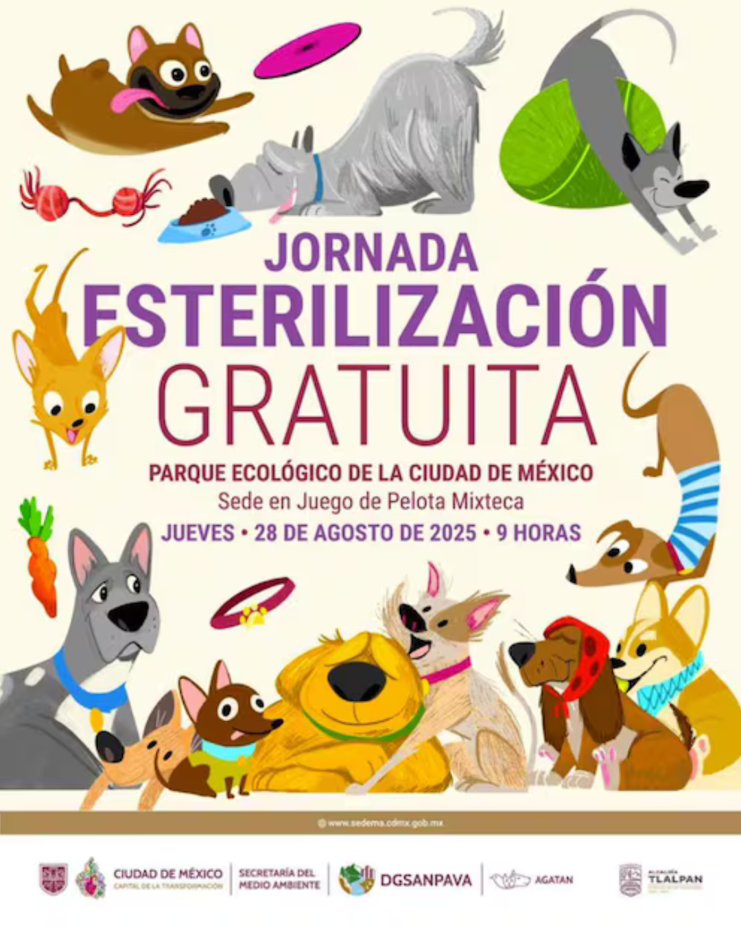 Realizarán jornada gratuita de esterilización en CDMX