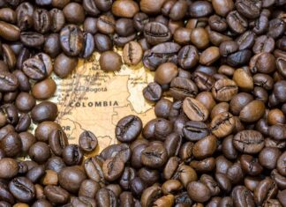 Café colombiano bate récord de producción en julio y supera una década produccion de cafe colombiano 2025
