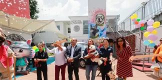 Así es el nuevo hospital veterinario de CDMX Así es el nuevo hospital veterinario de CDMX