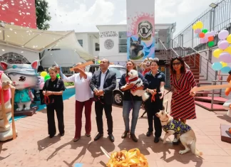 Así es el nuevo hospital veterinario de CDMX Así es el nuevo hospital veterinario de CDMX