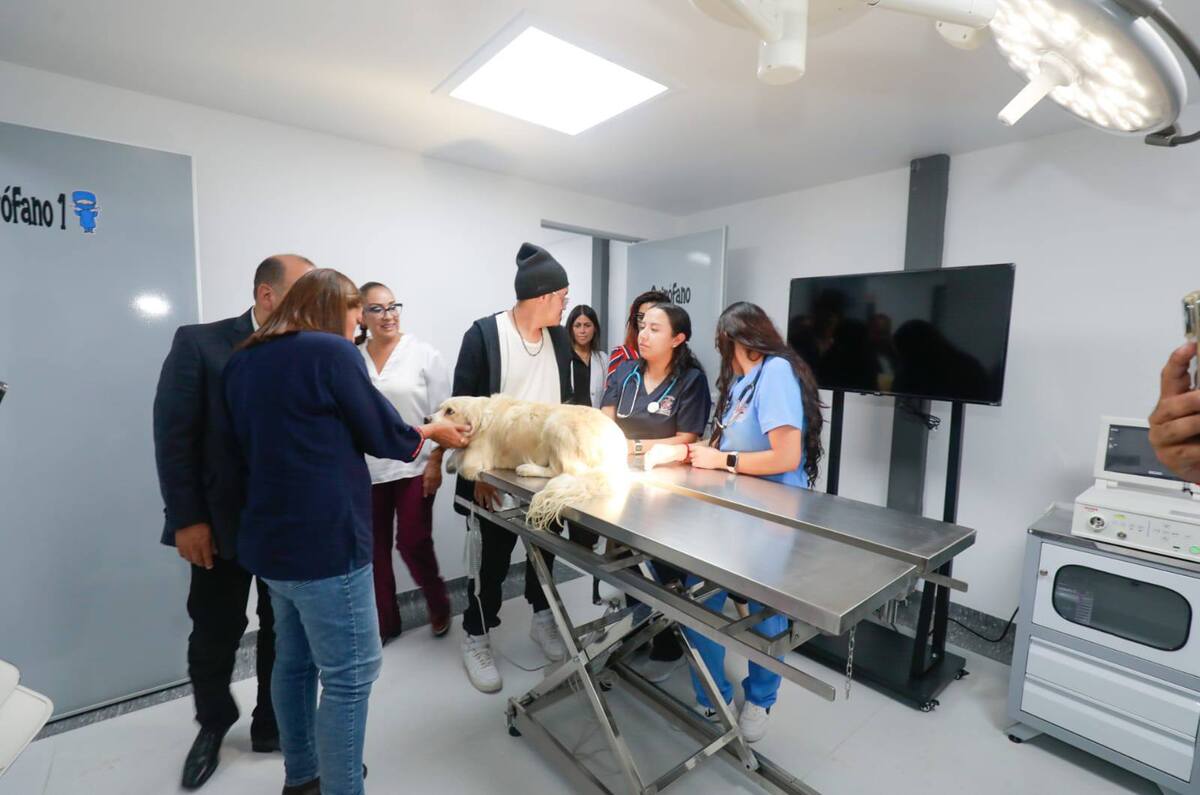 Así es el nuevo hospital veterinario de CDMX