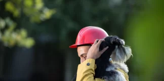 Cómo proteger a tus mascotas durante un sismo Cómo proteger a tus mascotas durante un sismo
