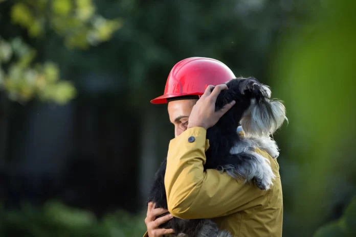 Cómo proteger a tus mascotas durante un sismo