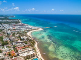 Playa del Carmen enfrenta crisis ambiental: estudio revela cenotes y pozos contaminados
