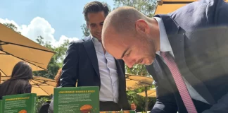 La Biblia de las Franquicias en México: la guía definitiva para emprender con éxito biblia-de-las-franquicias