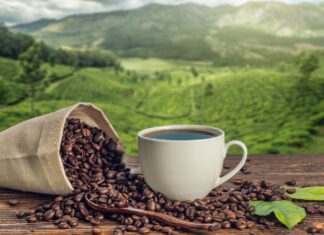 Lluvias en Brasil hunden al café arábica: caen los precios por expectativas de cosecha abundante