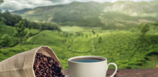 Lluvias en Brasil hunden al café arábica: caen los precios por expectativas de cosecha abundante