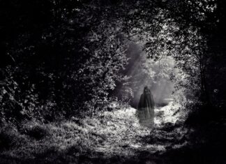 Ballet de Amalia Hernández trae “La Llorona” al Chapultepec: una experiencia cultural imperdible la llorona ballet chapultepec