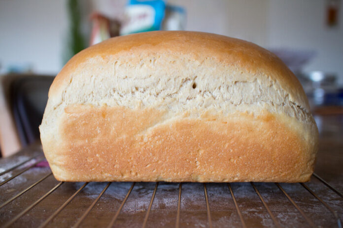 tipos de pan nutricion mexico