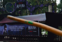 Trajinera Merlina en Xochimilco: visita única para fans de la serie trajinera merlina