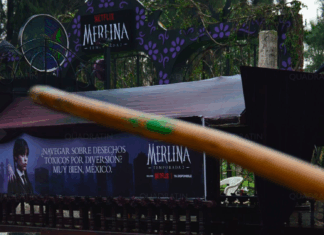 Trajinera Merlina en Xochimilco: visita única para fans de la serie trajinera merlina