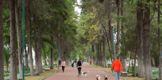 Polanco marca tendencia en el turismo “bleisure”: el equilibrio perfecto entre negocios y placer